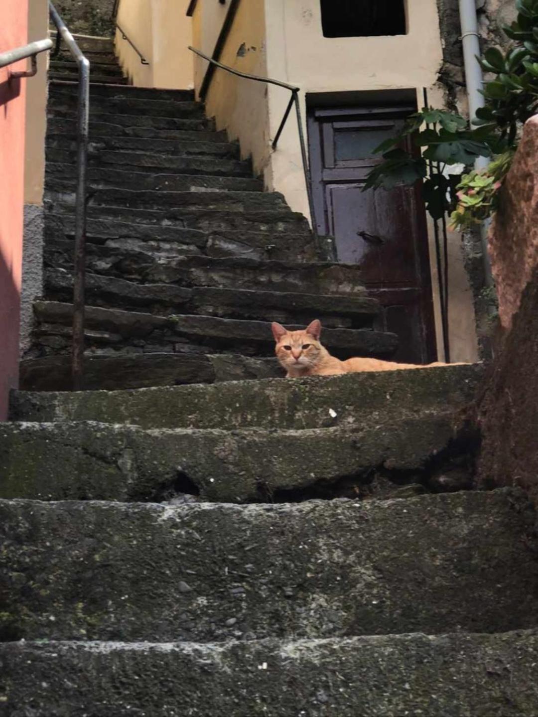 Olimpo Affittacamere Manarola Zimmer foto